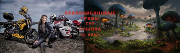 спиды Иннополис
