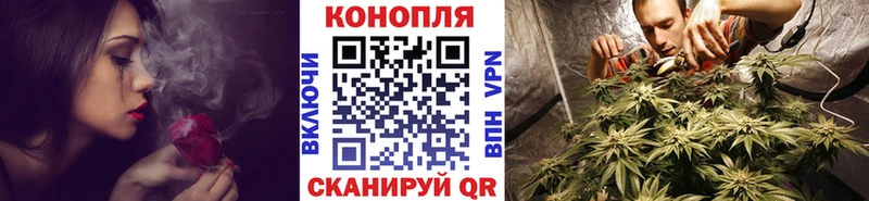 Купить закладки  Мураши  Бошки марихуана план 